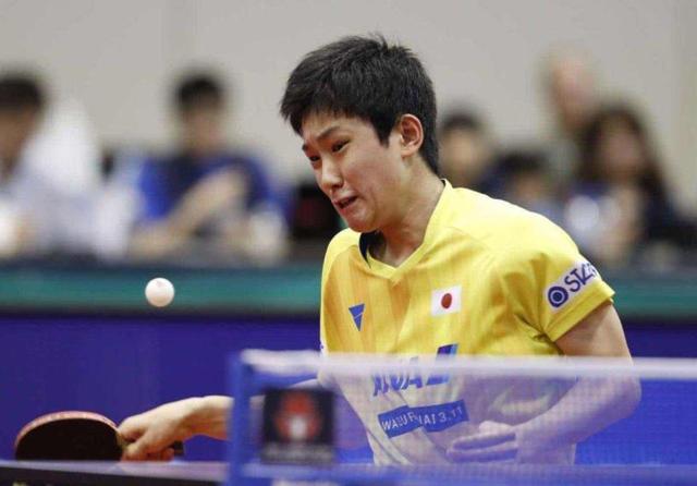 共同进步 共同进步