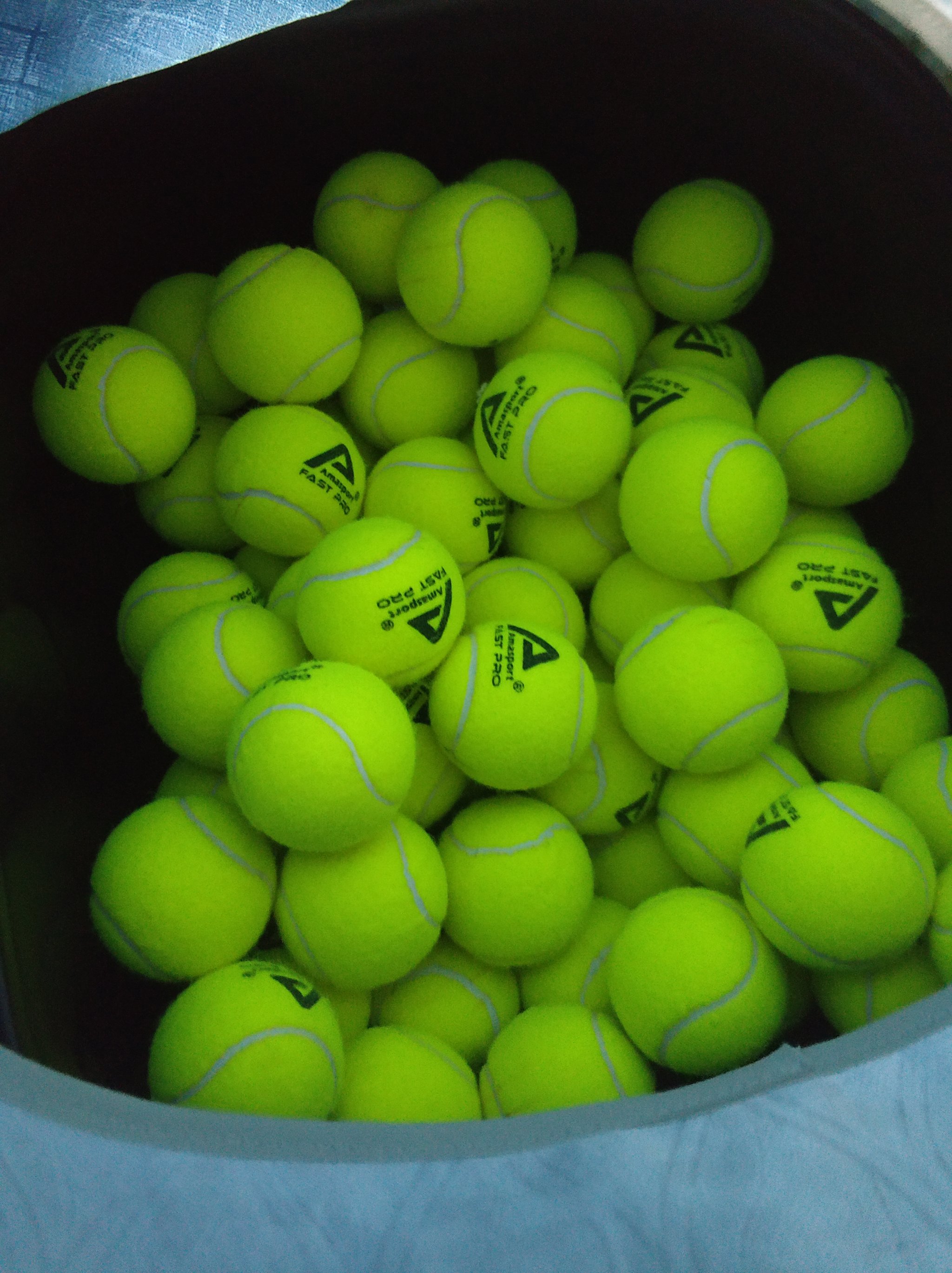 本可用短顺 本可用短顺